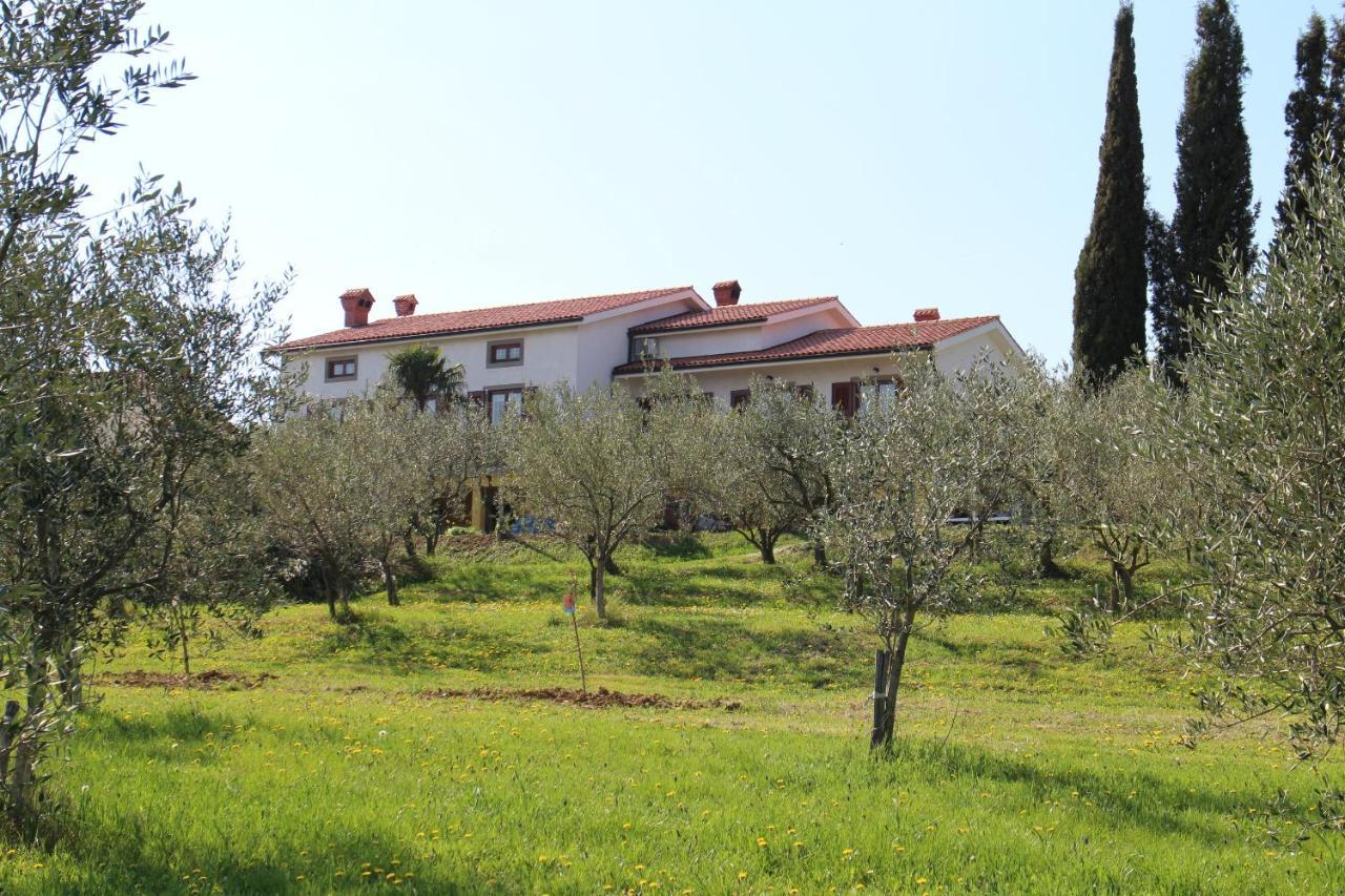 Med Oljkami Apartment Koper Exterior photo
